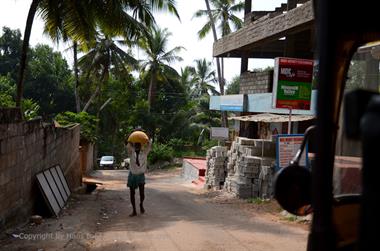 On the Route to Chowara Beach,_DSC_9137_H600